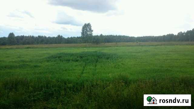 Участок СНТ, ДНП 3387 сот. в аренду в Вязниках Вязники - изображение 1