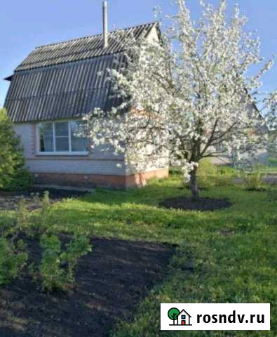 Дача 43 м² на участке 9 сот. на продажу в Орлово Орлово - изображение 1