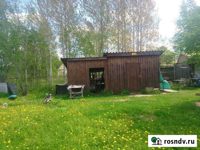 Участок СНТ, ДНП 6 сот. на продажу в Тосно Тосно - изображение 1