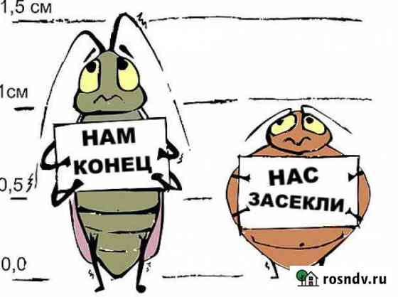 Уничтожение клещей, тараканов, клопов, короеда Йошкар-Ола