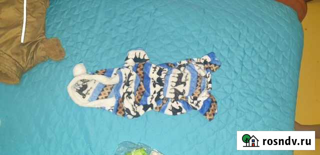 Вещи для собак Усть-Илимск - изображение 1