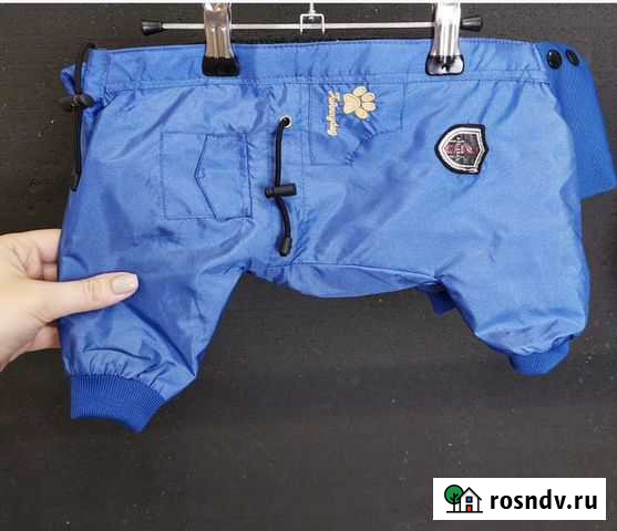 Дождевик для собаки Кстово - изображение 1