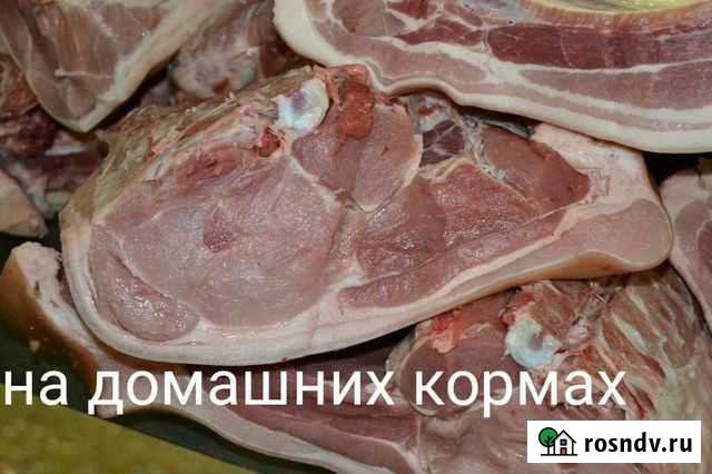 Домашняя свинина. Доставка Горно-Алтайск - изображение 1
