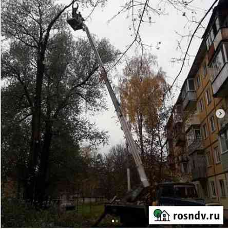 Спил, обрезка деревьев Тверь