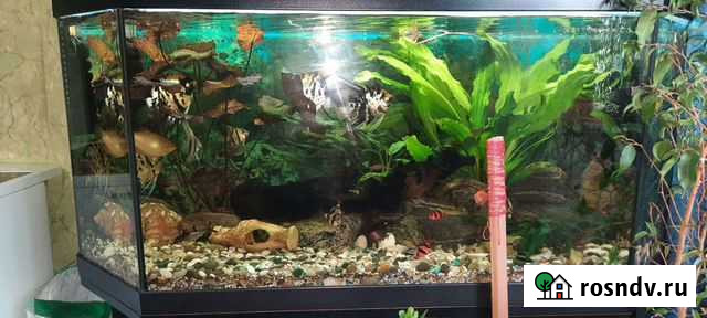 Аквариум с тумбой Ангарск - изображение 1