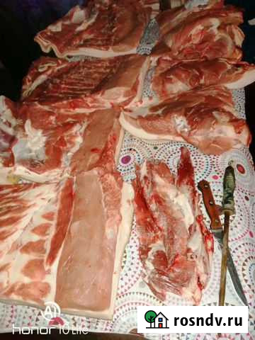 Мясо свинина домашняя сало Мичуринск - изображение 1