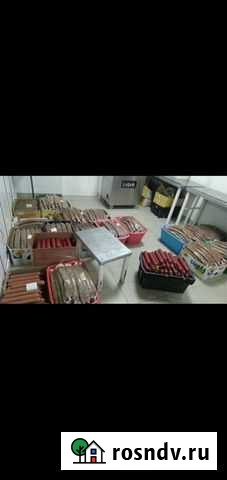 Коровы-лошади Усть-Джегута - изображение 1