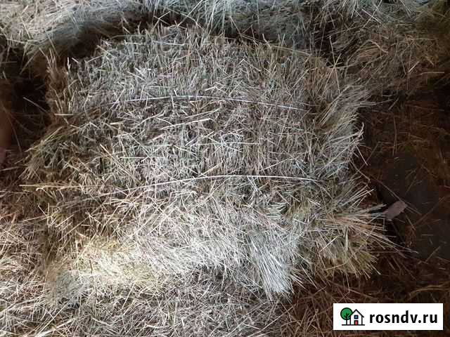 Сено Иловка - изображение 1