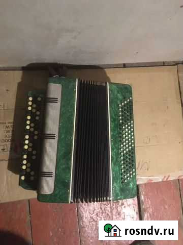 Баян Рубцовск - изображение 1