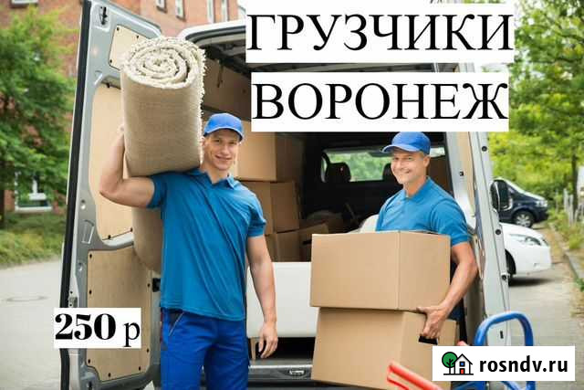 Грузчики Воронеж - изображение 1