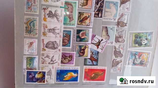 Марки природа Череповец - изображение 1