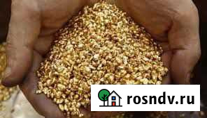 Продажа лицензии россыпного золота Улан-Удэ - изображение 1