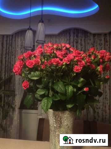 Малярные работы Фрязино - изображение 1