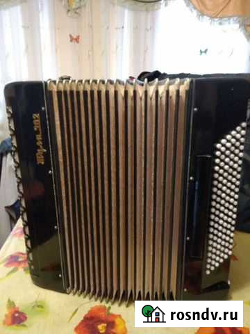 Баян Тула 302 Туймазы - изображение 1