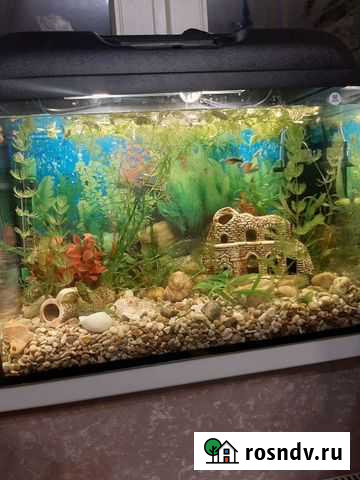 Аквариум 50 литров, б/у 10 мес Балашиха - изображение 1