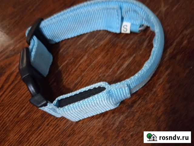 Ошейник Балашов - изображение 1