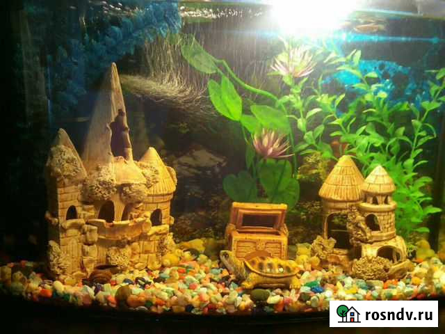 Аквариум для рыбок Тольятти - изображение 1