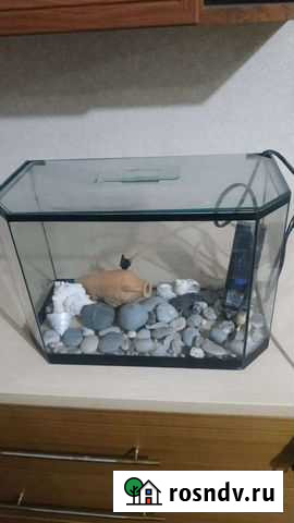 Аквариум + фильтр Ялта - изображение 1