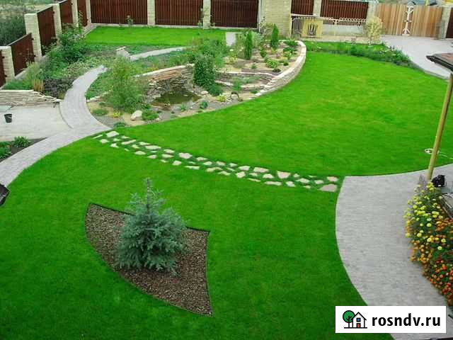 Рулонный газон. Автополив. Уход за садом Таганрог - изображение 1