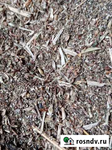 Отходы зерна Поворино - изображение 1