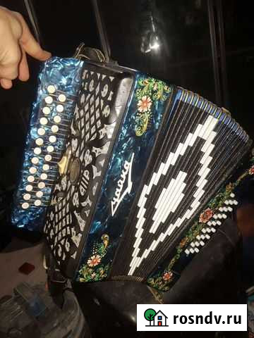 Шуйская Гармонь Чайка С Особенными голосами Самара - изображение 1