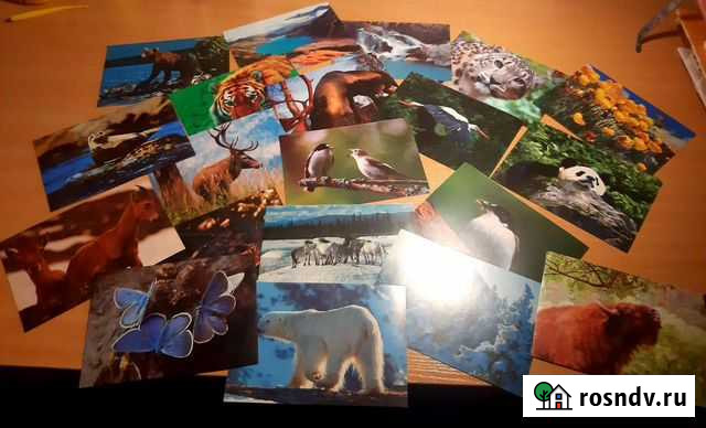 Фотокарточки Калуга - изображение 1