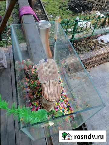 Аквариум Белогорск - изображение 1