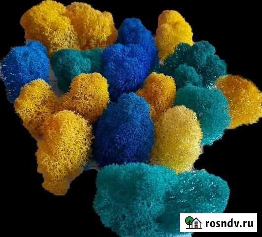 Рецепт стабилизации мха ягеля Сургут - изображение 1