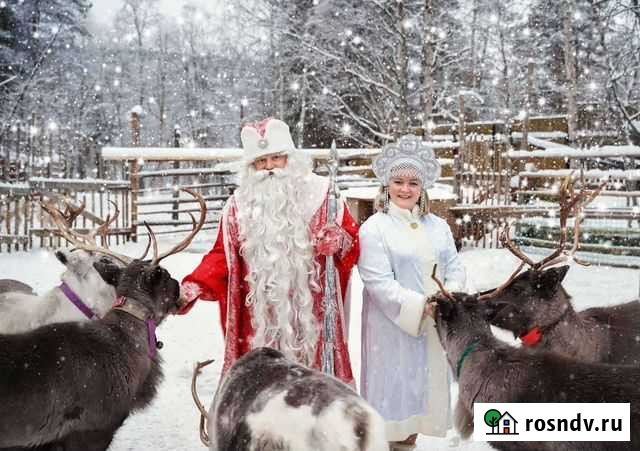 Дед Мороз и Снегурочка Мурманск - изображение 1