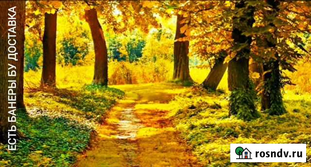 Мох Иркутск - изображение 1