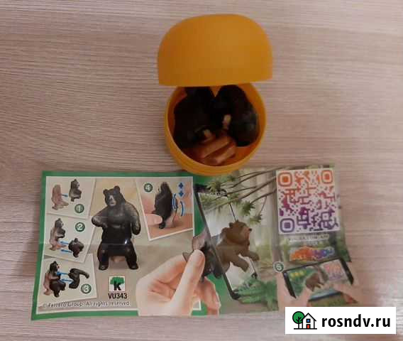 Киндер натунс 2021 Курск - изображение 1