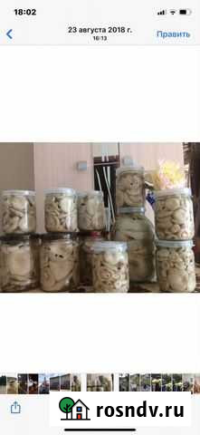 Грибы соленые Черемушки - изображение 1