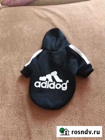 Одежда для маленьких собак Биробиджан - изображение 1