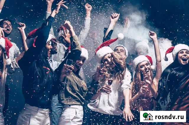 Весёлая компания на нг Йошкар-Ола - изображение 1