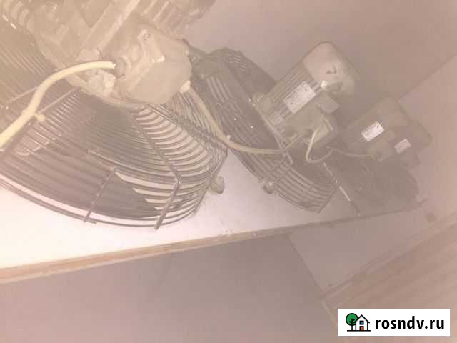 Шкаф сушильный Кропоткин - изображение 1