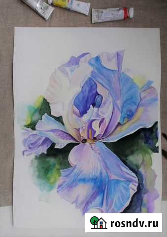 Картина в подарок акварелью Ирис цветок Электроугли - изображение 1