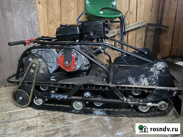 Норка Санкт-Петербург - изображение 1