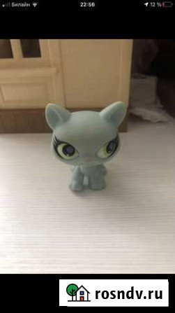 Littlest Pet Shop кот стоячка Калининград - изображение 1