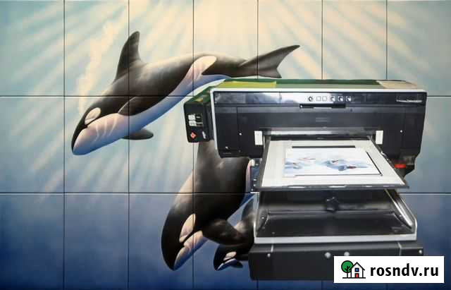 Принтер: Epson Stylus Photo R2000 головка (DX-5) Курск - изображение 1