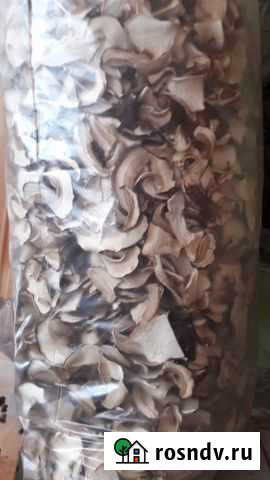 Продам сухие грибы Томск - изображение 1