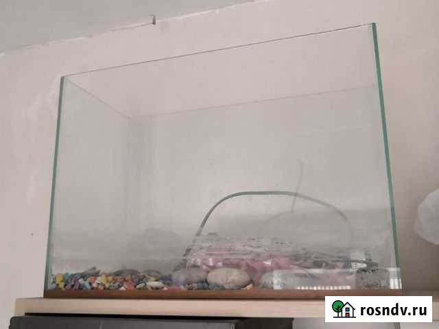 Аквариум Черницыно - изображение 1