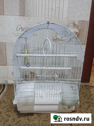 Клетка для попугая Грязи - изображение 1