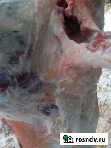 Продаётся Мясо баранина, либо живьём Набережные Челны - изображение 1