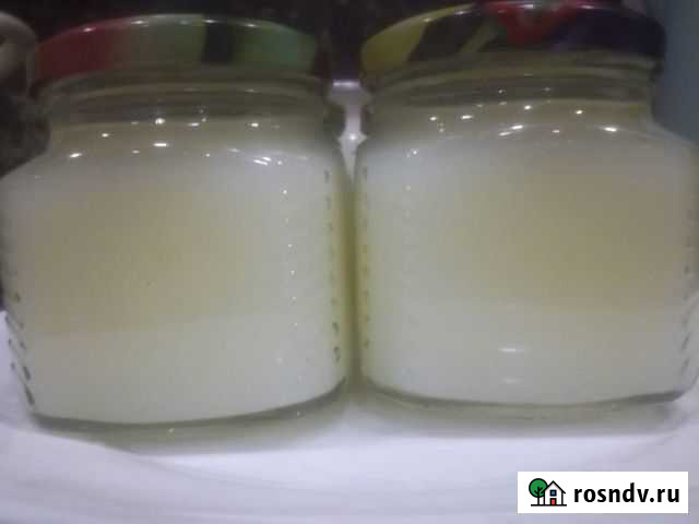 Барсучий жир от охотника Новосибирск - изображение 1