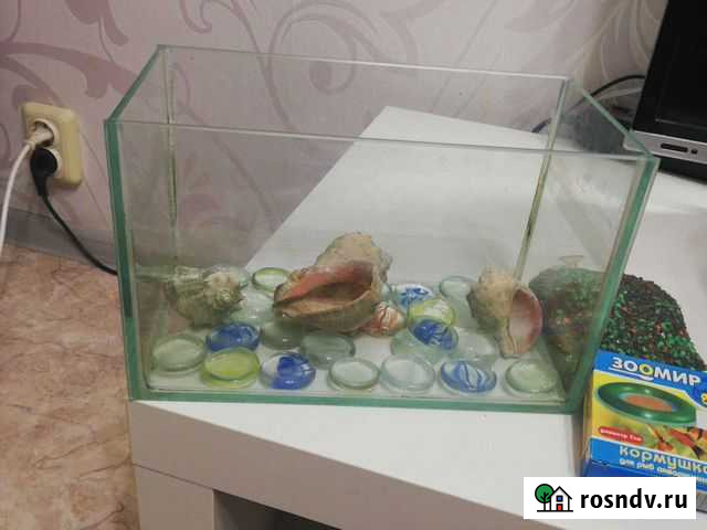 Аквариум Нижний Новгород - изображение 1