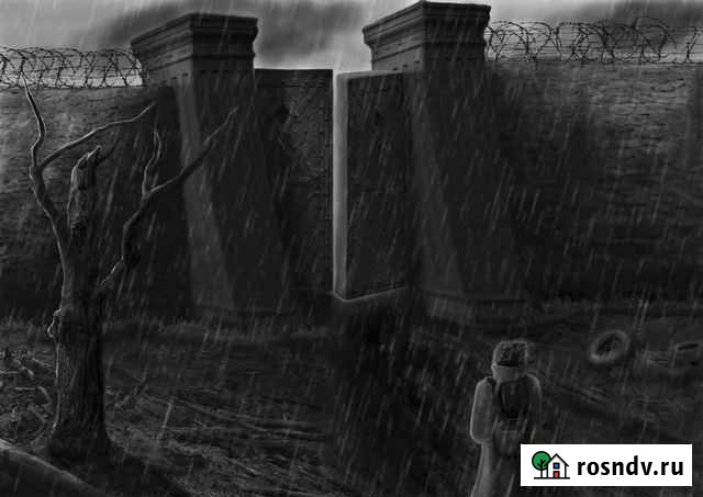 Художник Грайворон - изображение 1