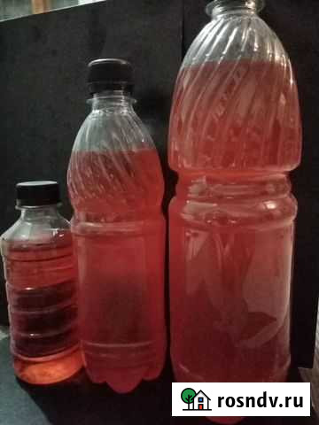 Рыбий Жир Великий Новгород - изображение 1