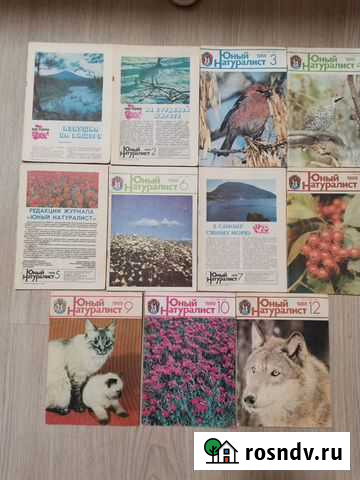 Журналы разные Ногинск - изображение 1