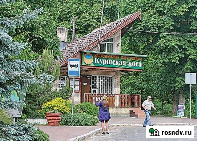 Экскурсии на Куршскую косу Калининград - изображение 1