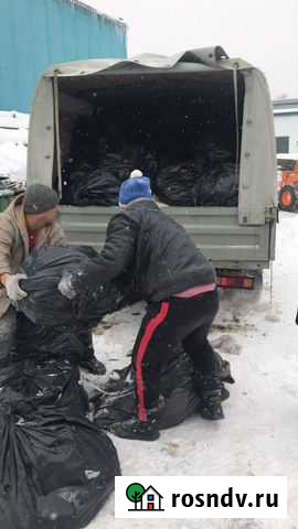 Вывоз мусора Фрязино - изображение 1
